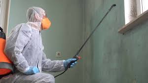 Mold Odor Removal Services in Middlefield, OH