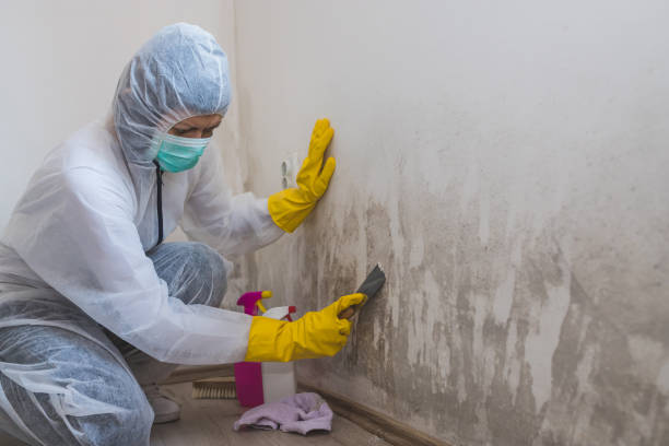 Best Mold Odor Removal Services  in Middlefield, OH