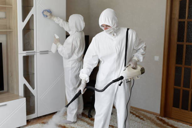 Mold Removal for HVAC Installations