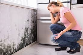 Best Mold Removal for HVAC Installations  in Middlefield, OH